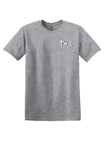 Adult T shirt Gray